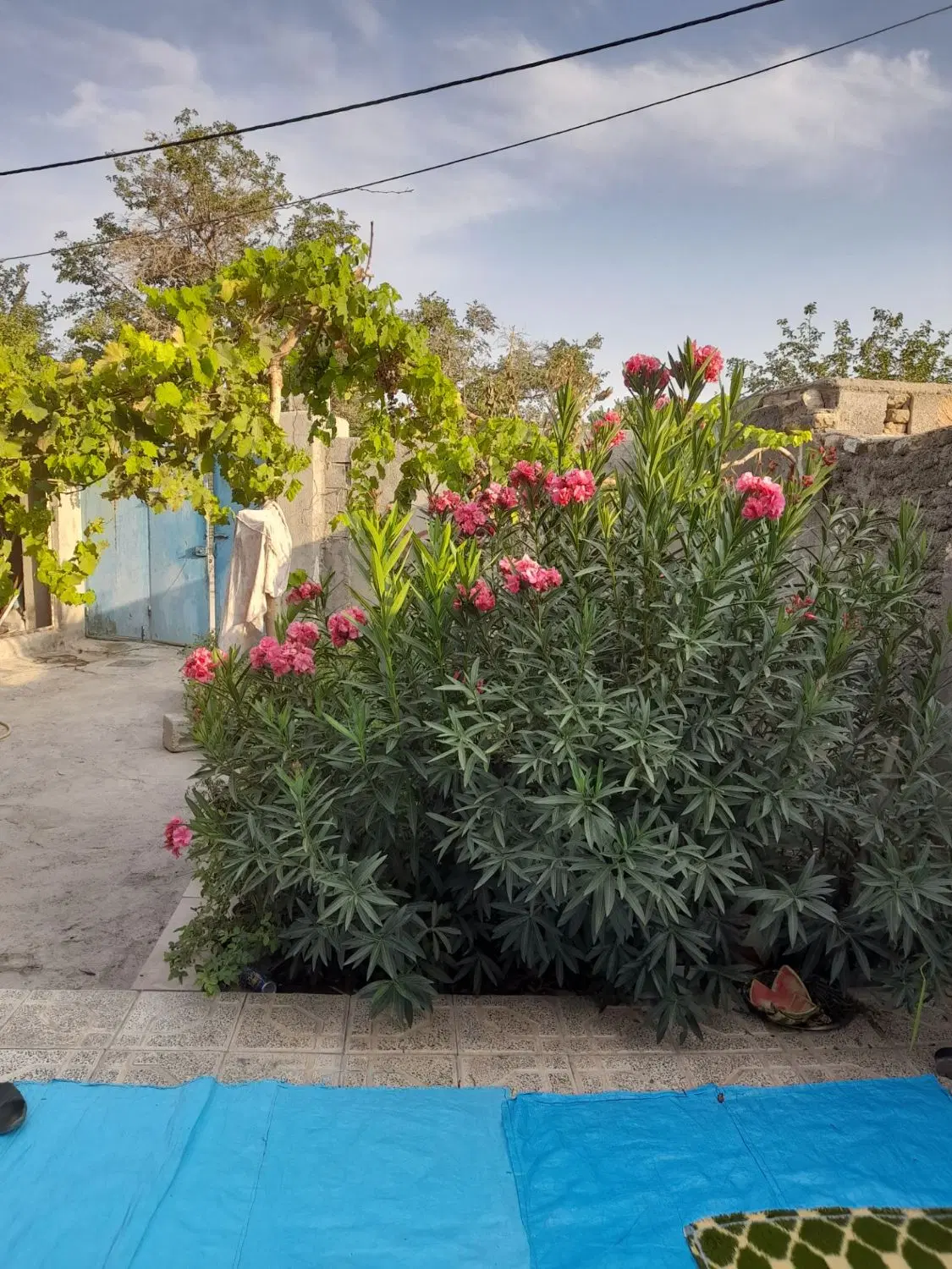 منزل ویلایی