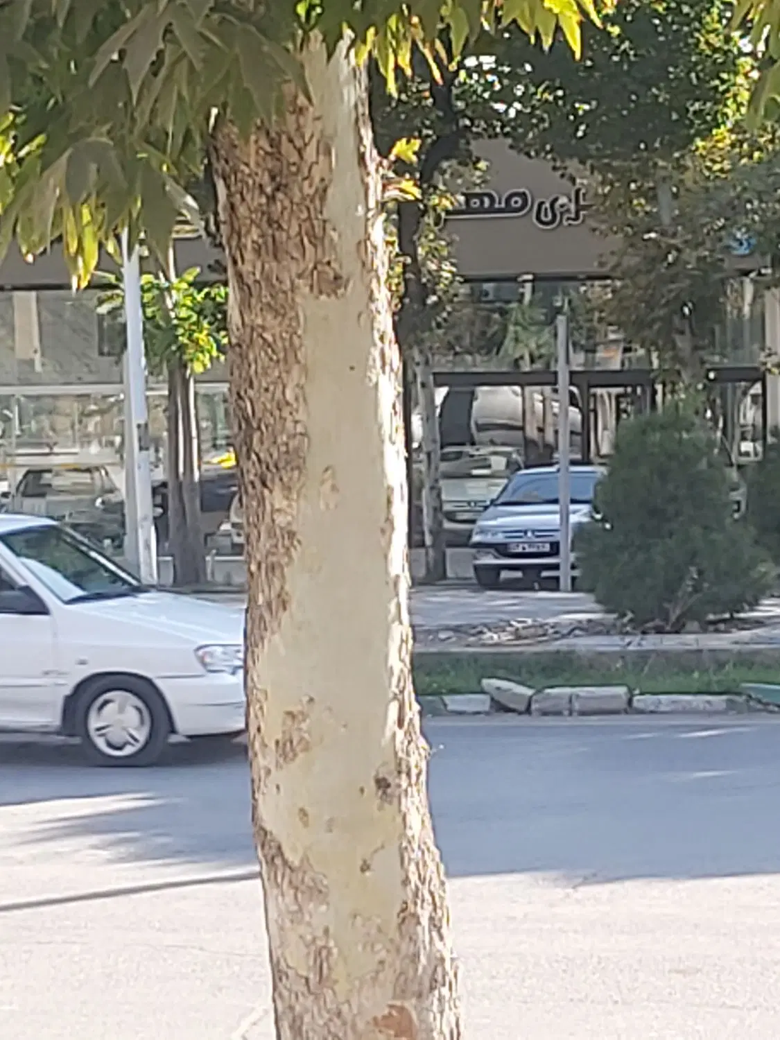 نمایشگاه اتومبیل اجاره