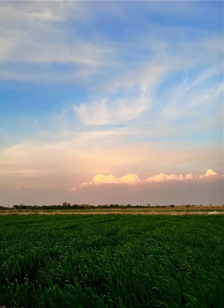 فروش زمین ۱۰۰۰ متری  شبستر