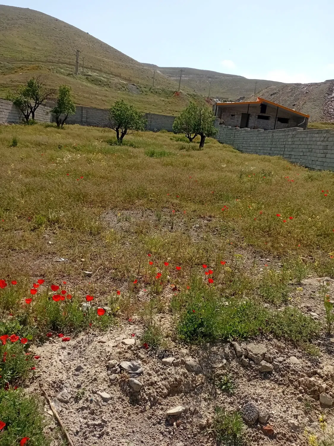 قطعه زمین کارگاهی در روستای شادباد مشایخ