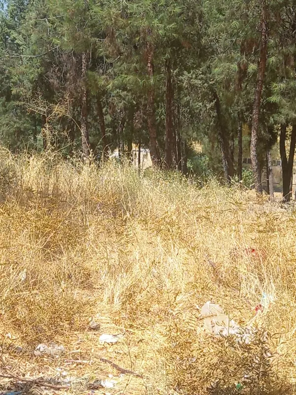 دو قواره زمین ۳۰۰متری گردخون