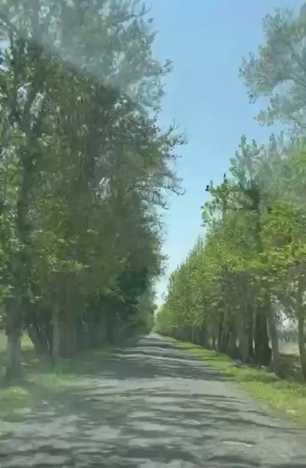 فروش زمین چهارباغ
