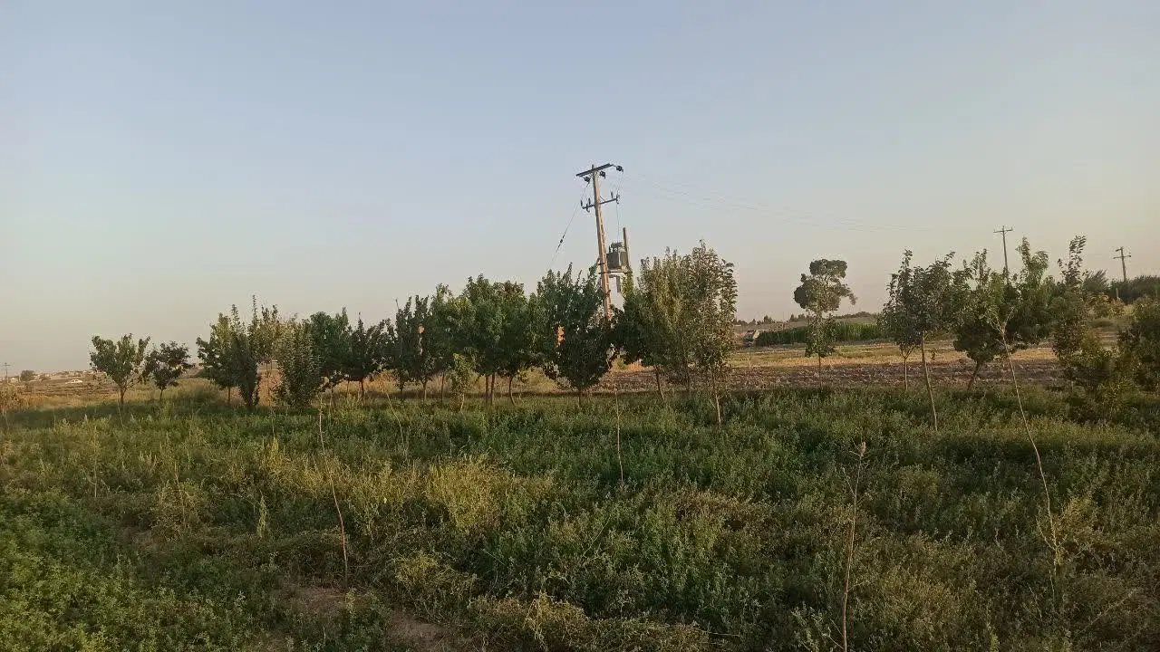 باغ فروشی