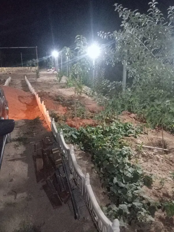 باغ‌نقلی‌