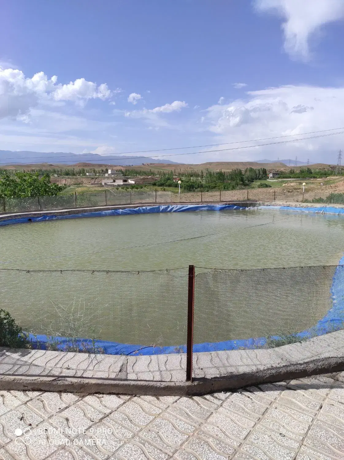 باغ میوه 20 ساله آونلیق