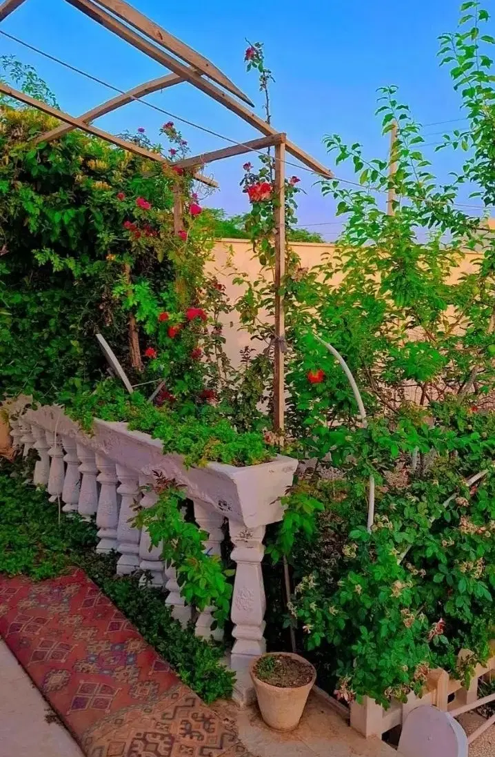 زمین فرزند آوری زعفرانیه