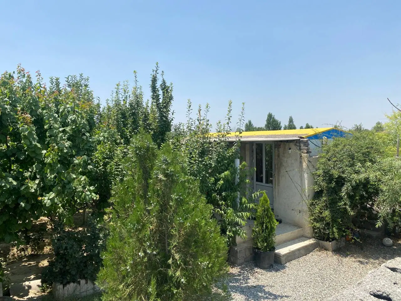 باغچه