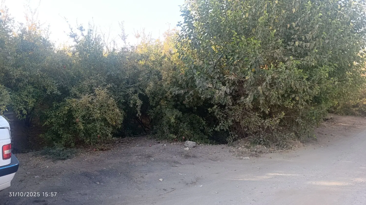 معاوضه و فروش