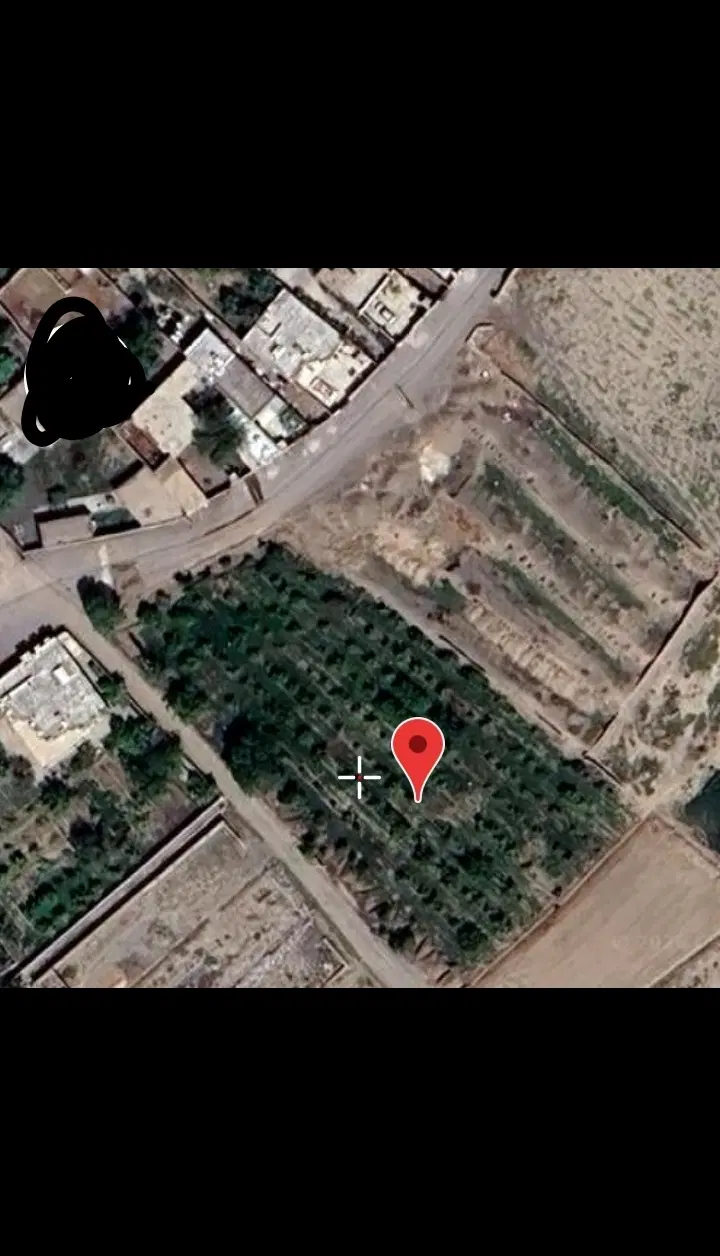 فروش باغ