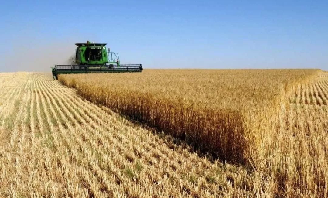 هزار متر مربع برای سرمایه گذاری
