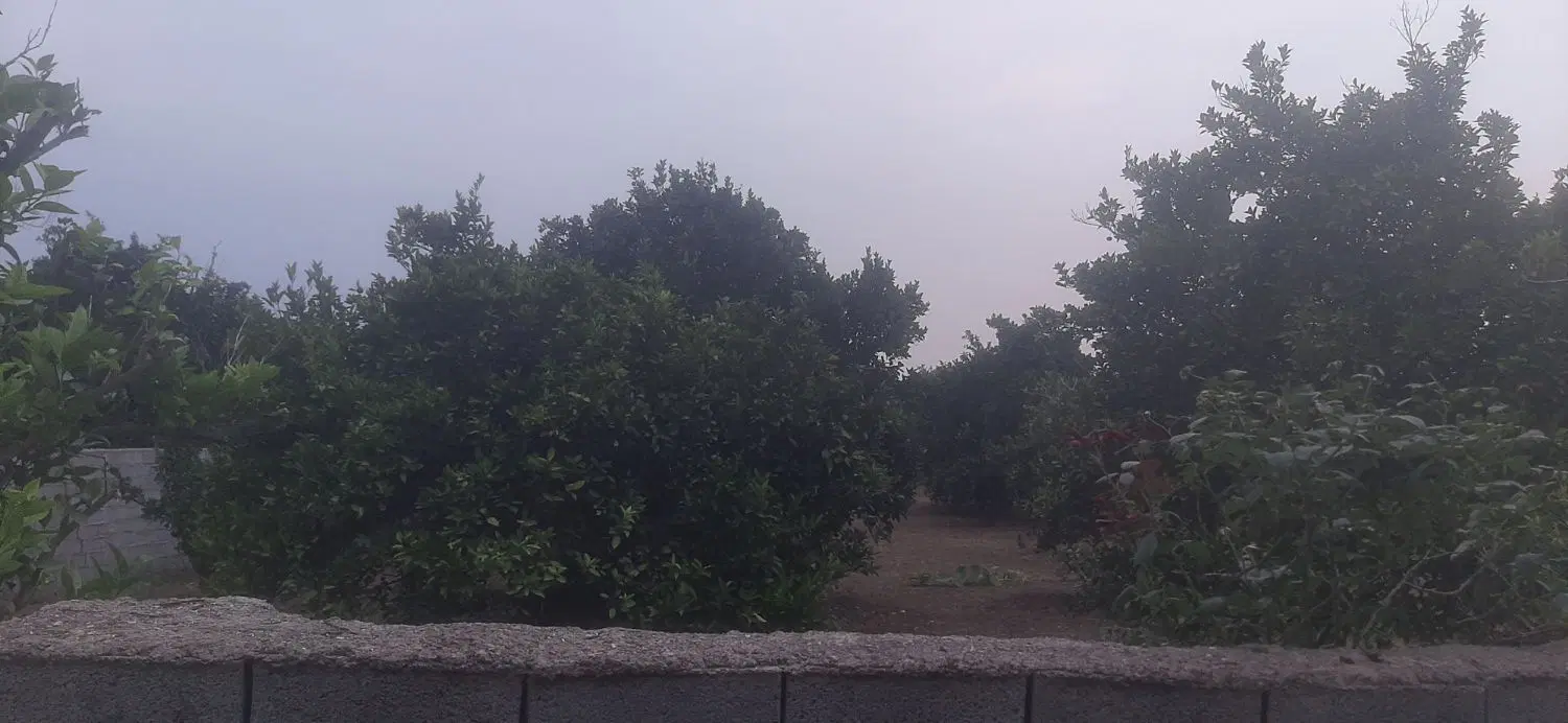باغ مرکبات