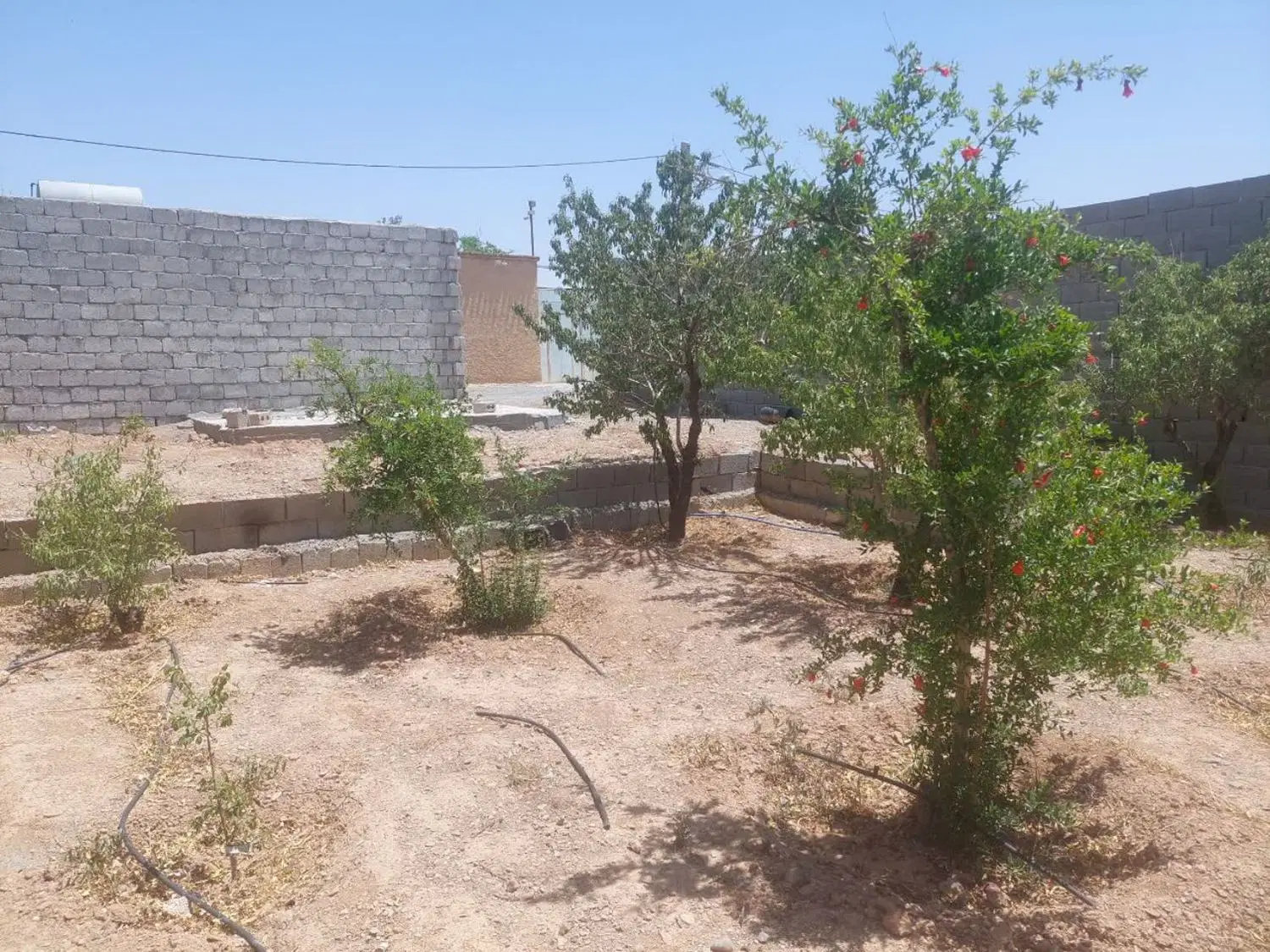 باغ ۴۰۰ متری خوش قواره نزدیک شهر