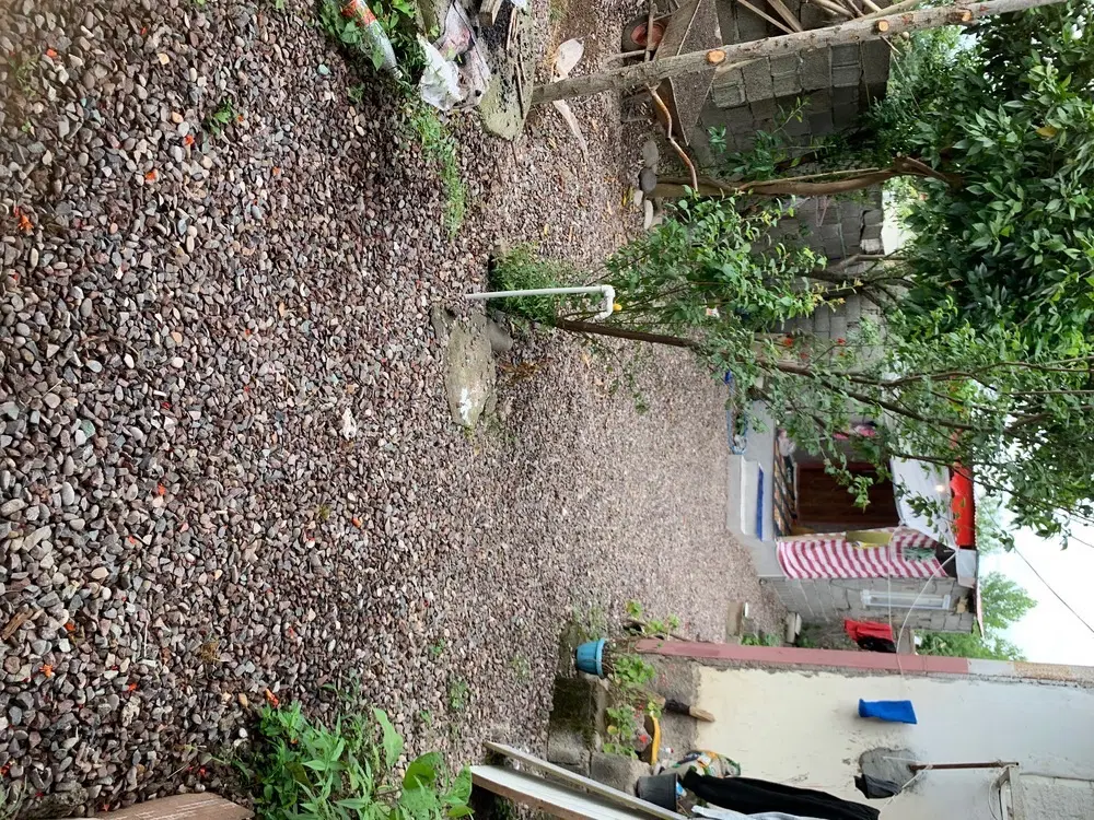 خانه و کلبه فروشی