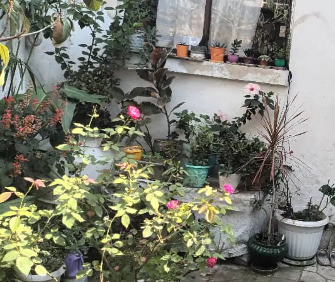 فروش خانه ویلایی .مشارکت یا فروش