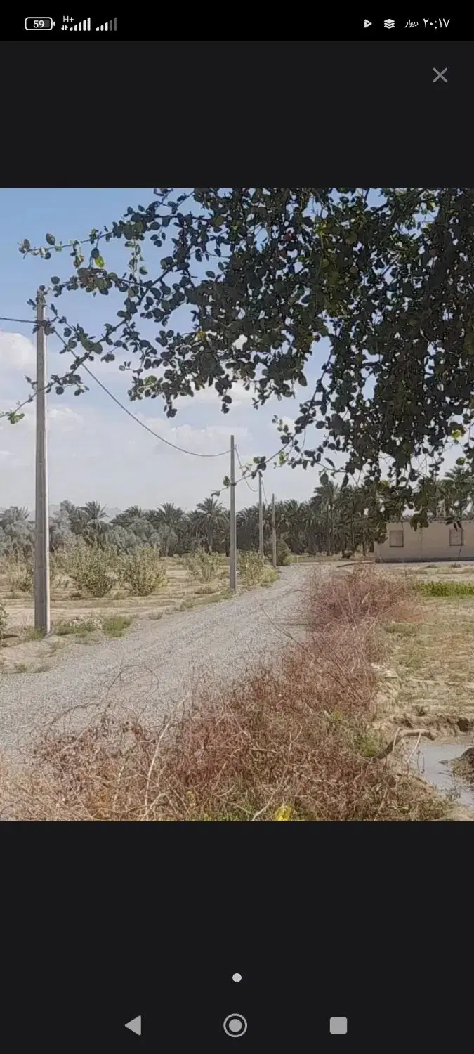 تجاری کارگر 14