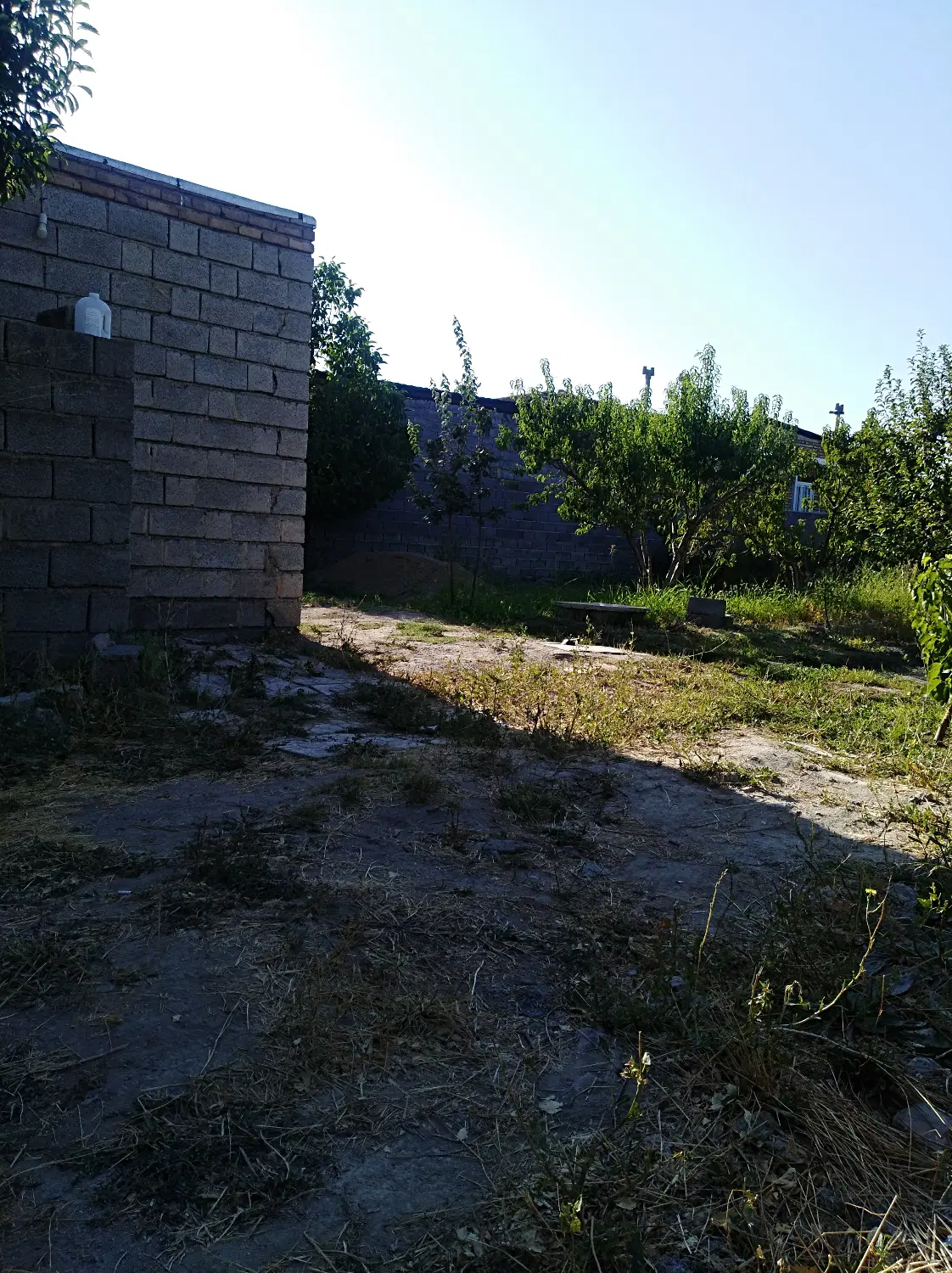 فروش زمین کشاورزی