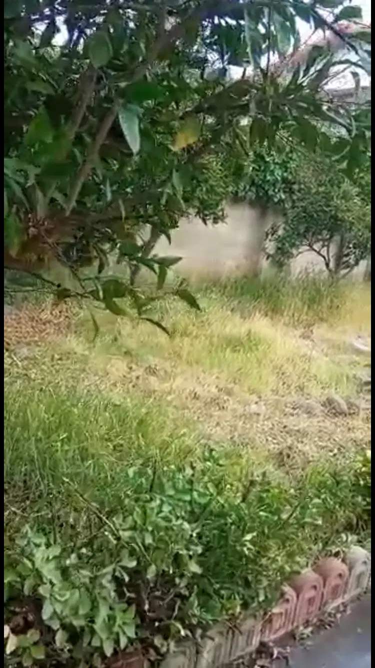 باغ در ابشینه