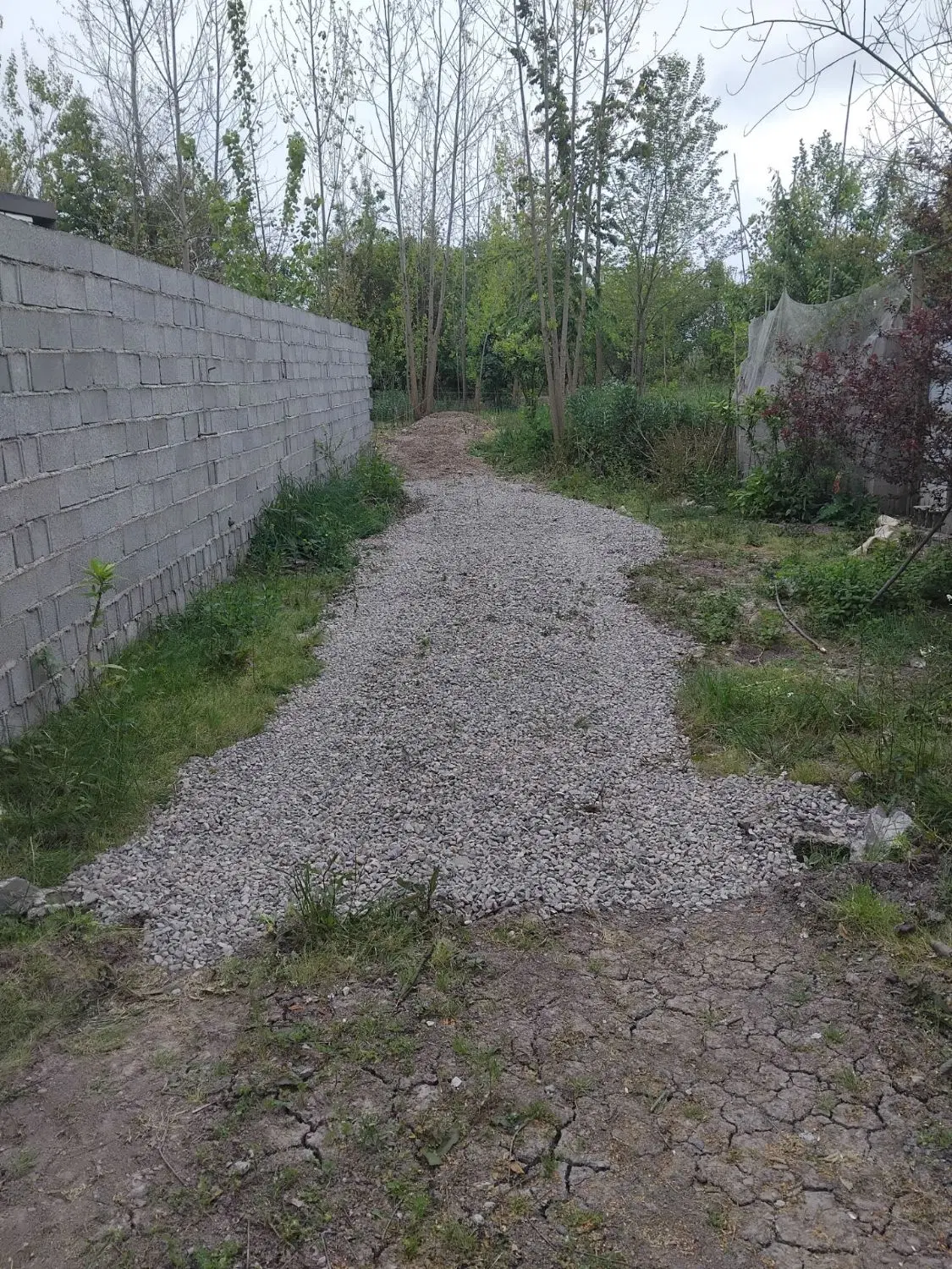 ۸۸۵ متر زمین باغی