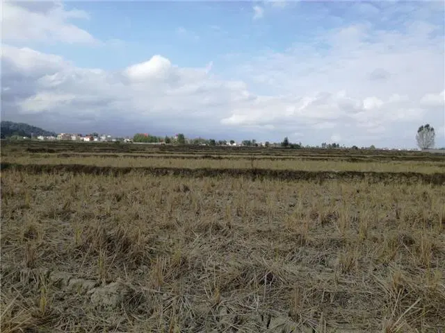 زمین مناسب سرمایه گذاری