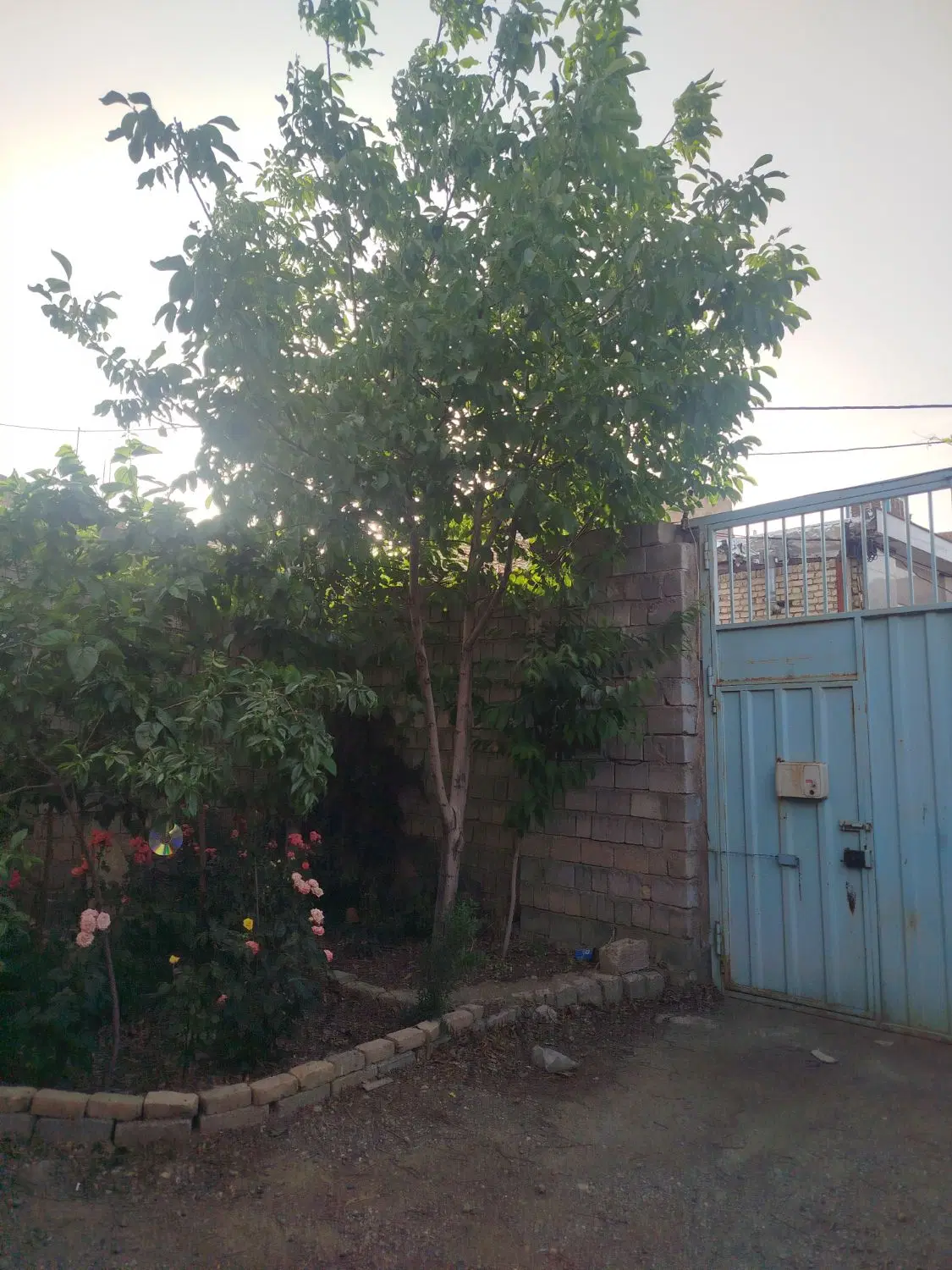 خانه باغ