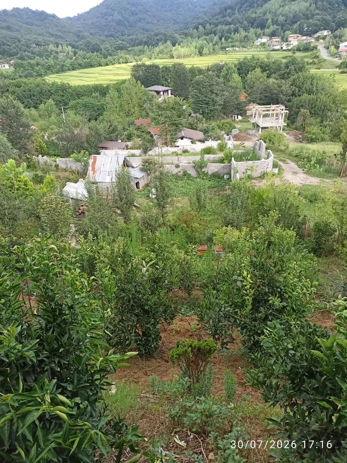 فروش زمین