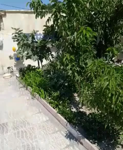 خانه بزرگ دلباز باسند ششدانگ برای خانواده پر جمعیت
