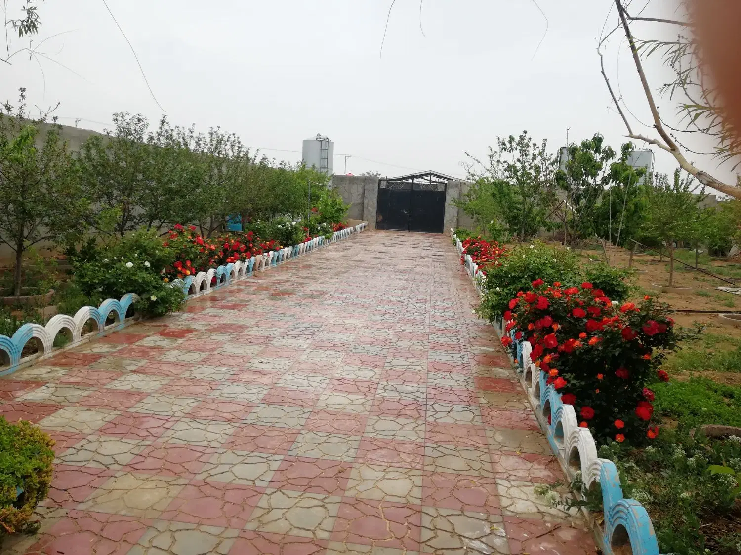 باغ وویلا
