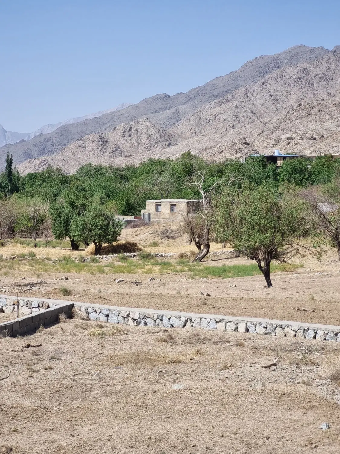 زمین سانیج دشتک