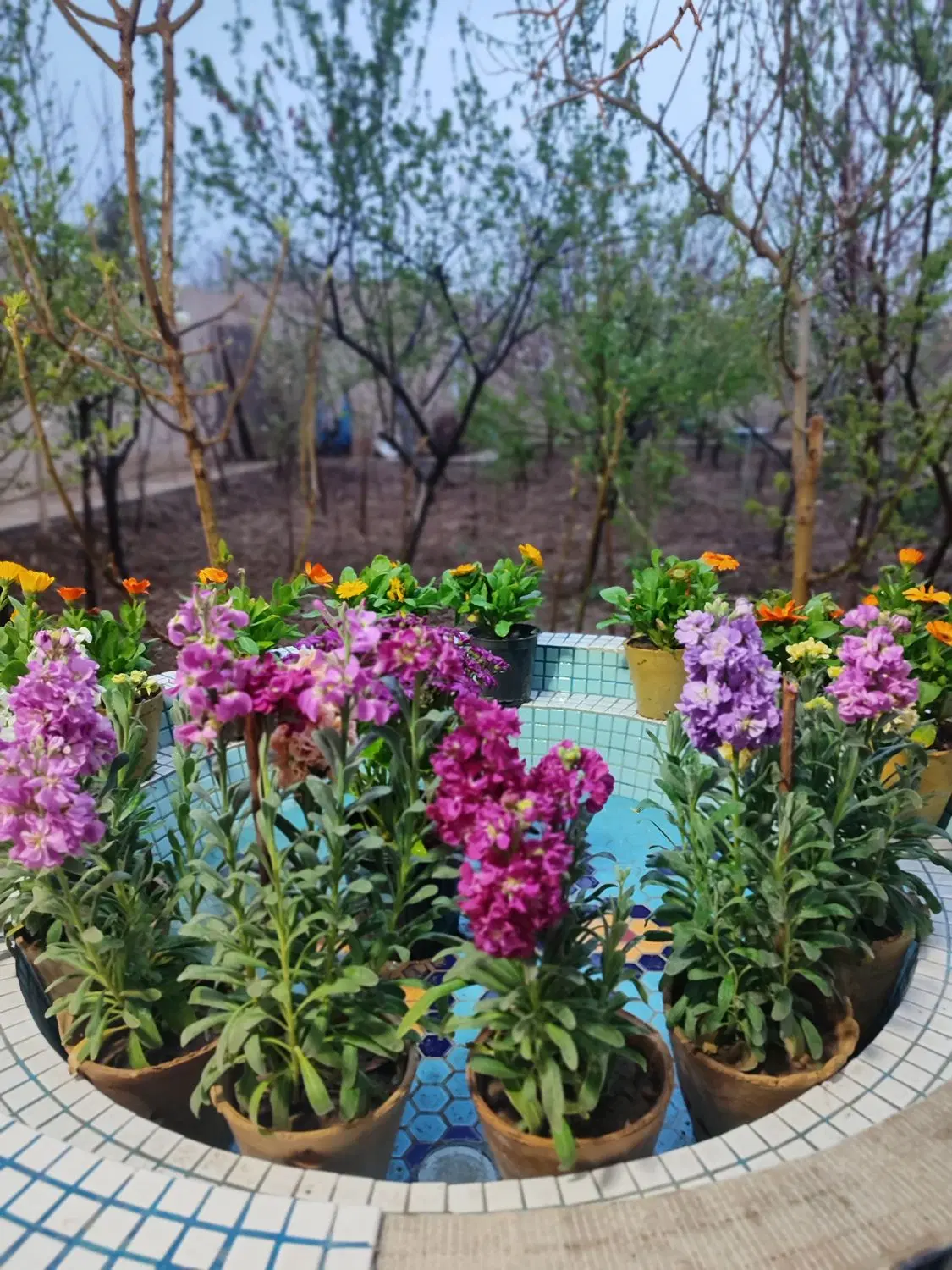 فروش باغ ویلا _سند تک برگ نقلی