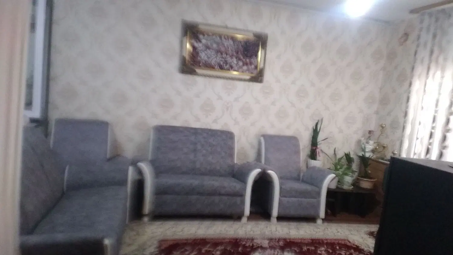 کوزو ۵ تک خواب