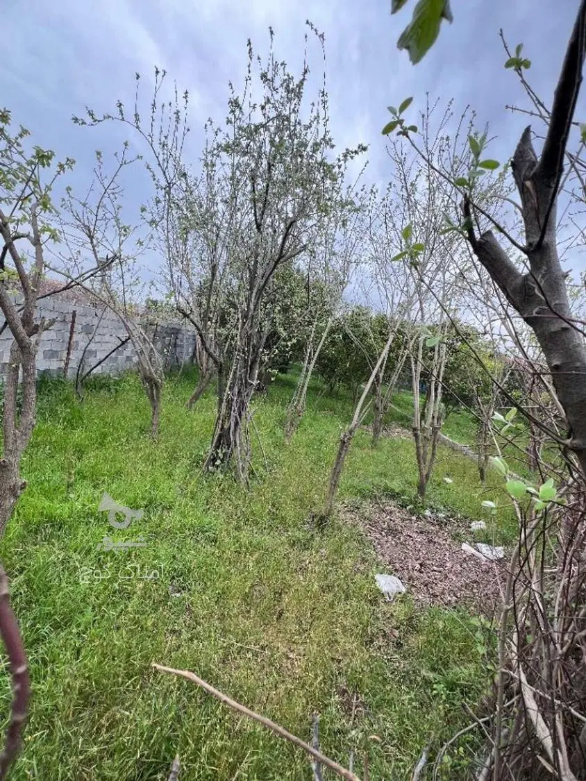 فروش باغ در زنگشامحله