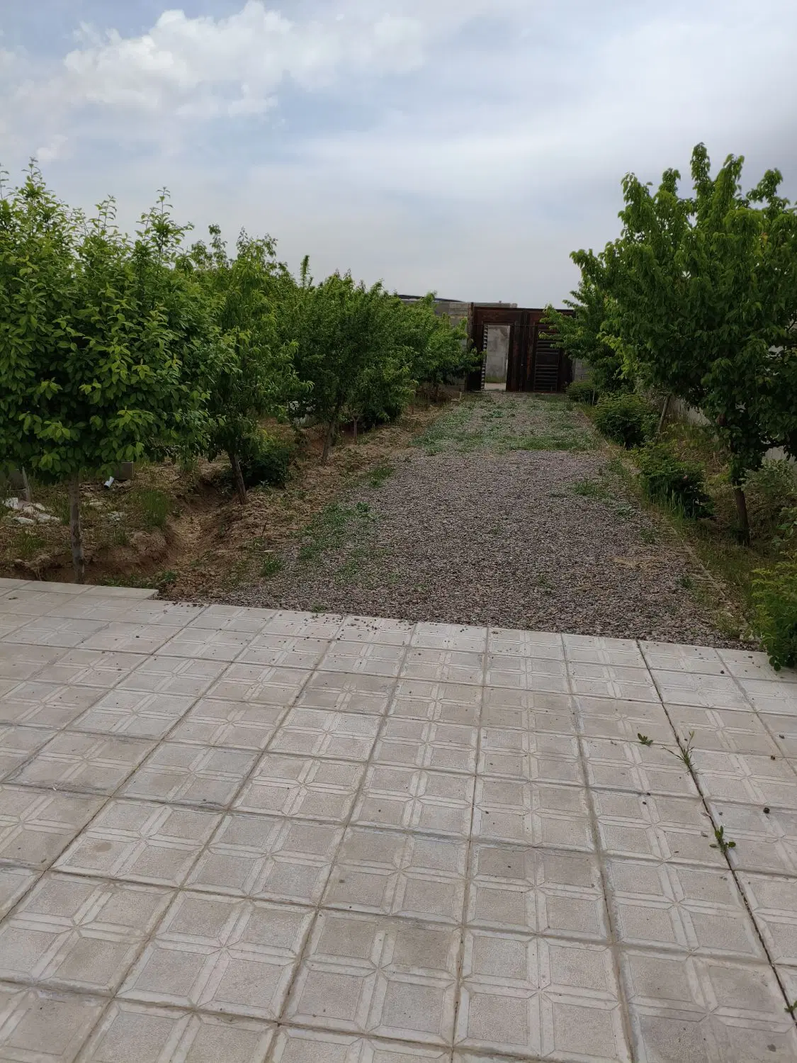 باغ ویلا عسگریه 24