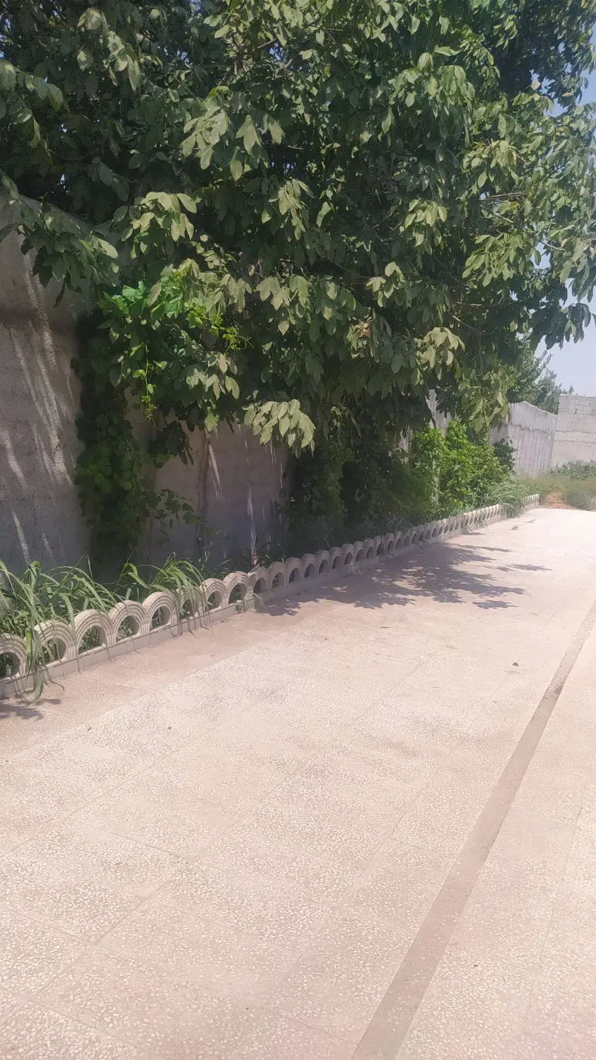 باغ چهار دیواری شده