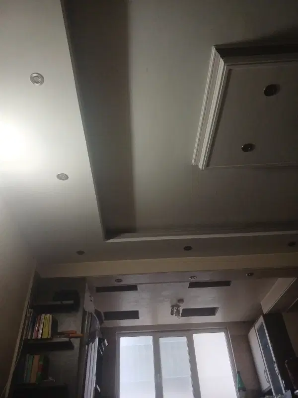همخانه