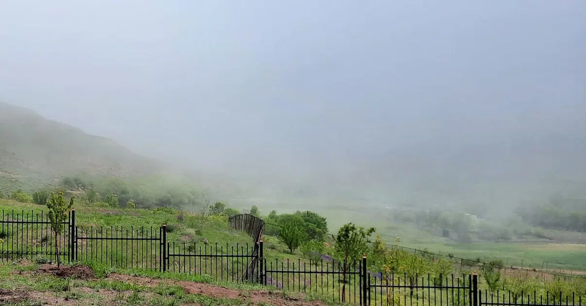باغ ۱۶۰۰ متری روستای زرشک