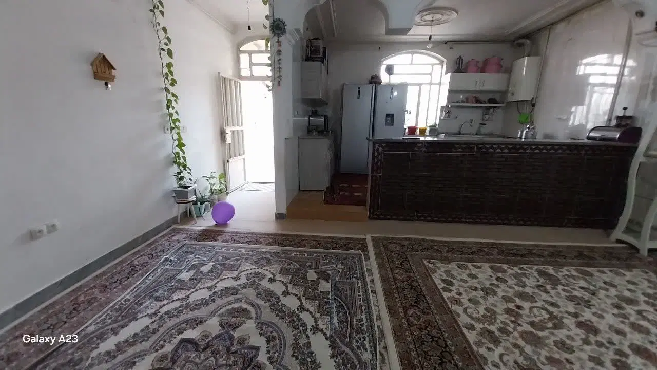 پاپی خالدار  البرز 3