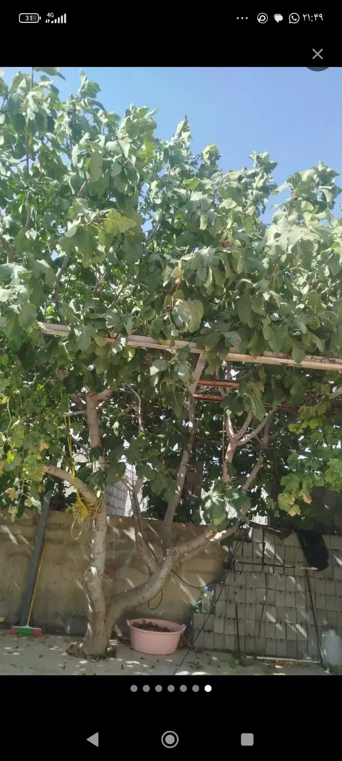 خانه