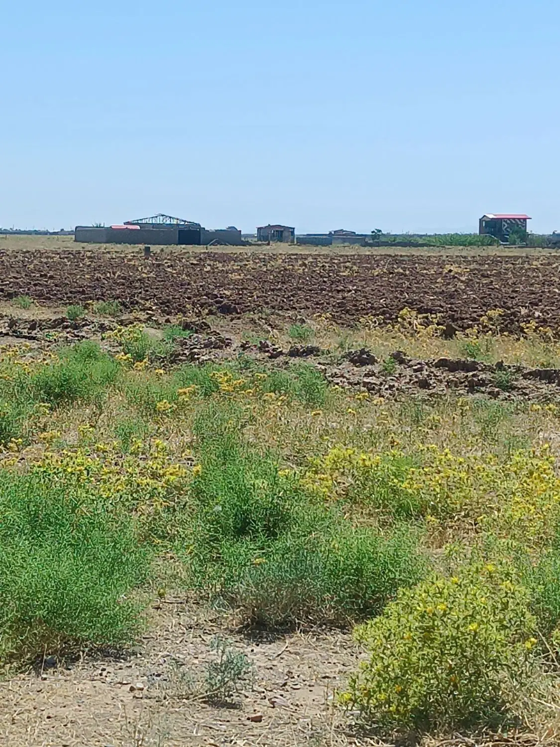 زمین ویلایی صوفیان