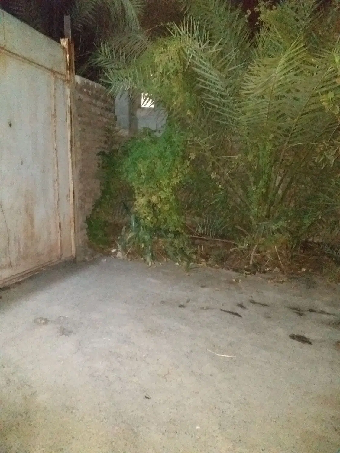 خانه اجاره ای