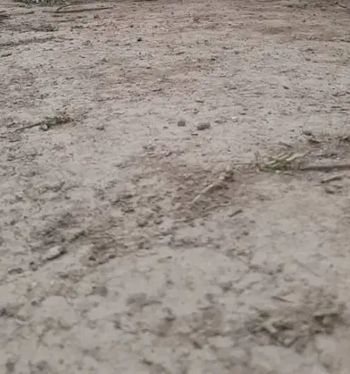 ۱۸۶متر زمین دادگستری صباشهر