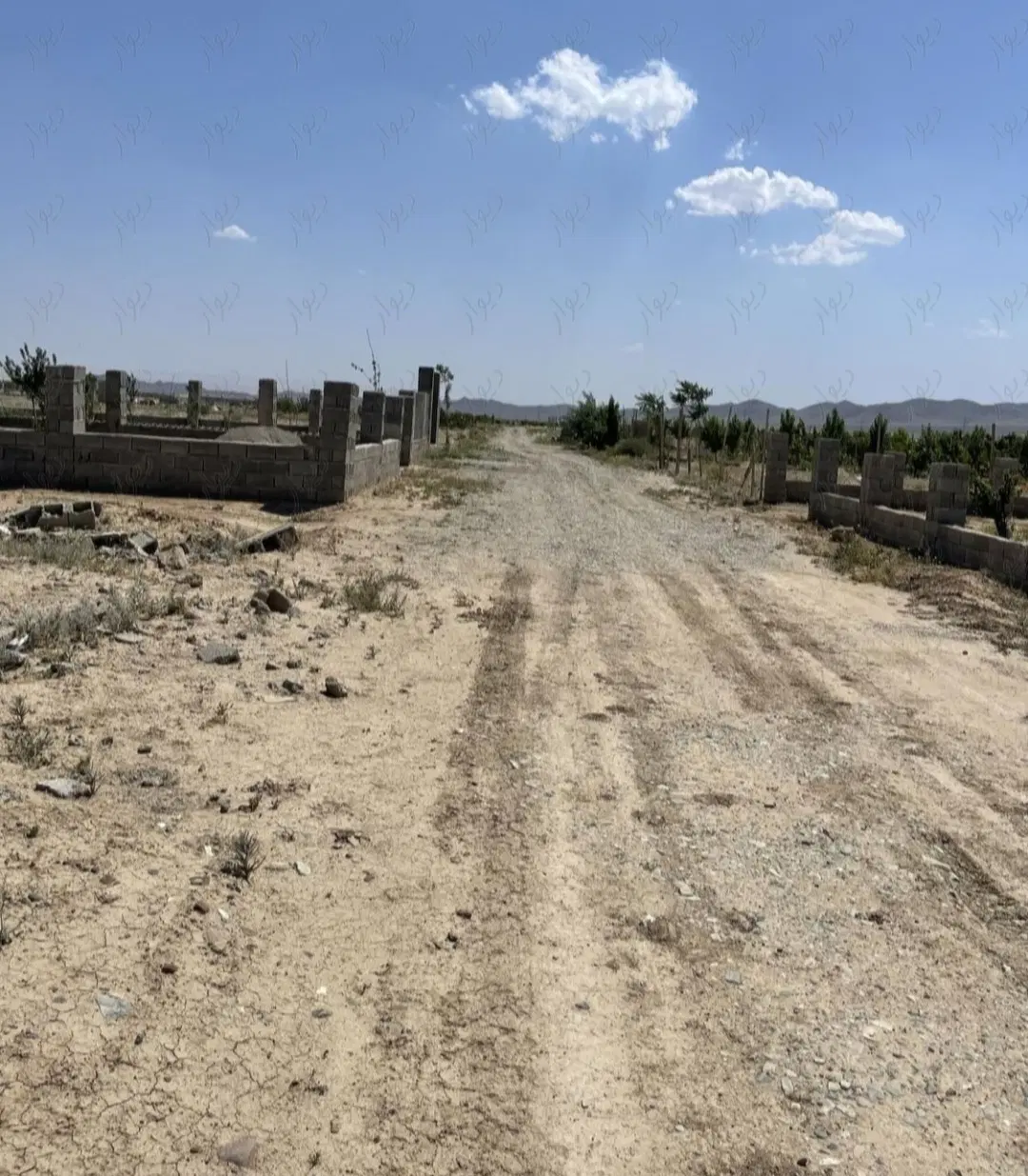 زمین ارغش آباد