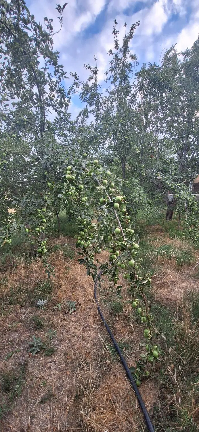 زمین کشاورزی گلخانه،خانه مسکونی جاده ارجستان