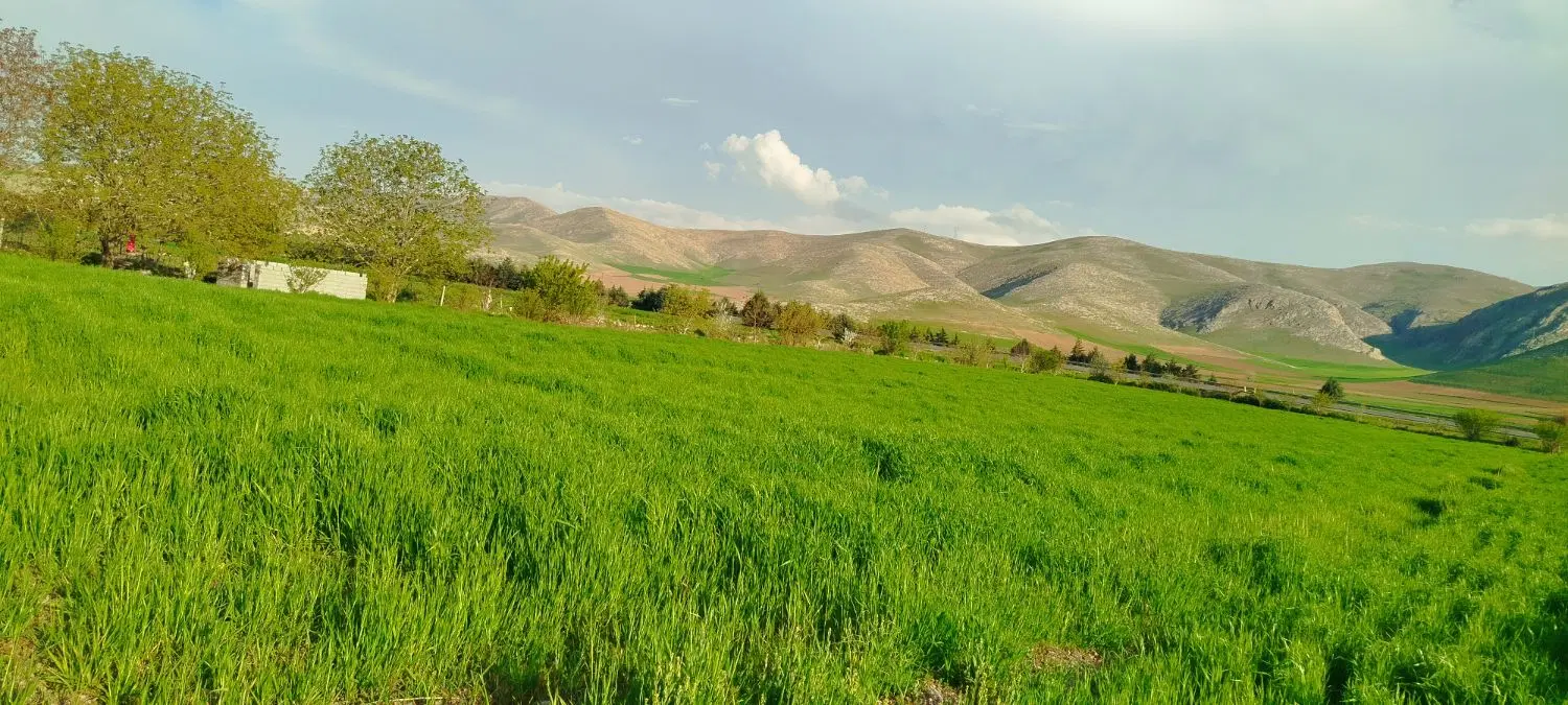 8500 متر زمین کشاورزی و باغ با سند