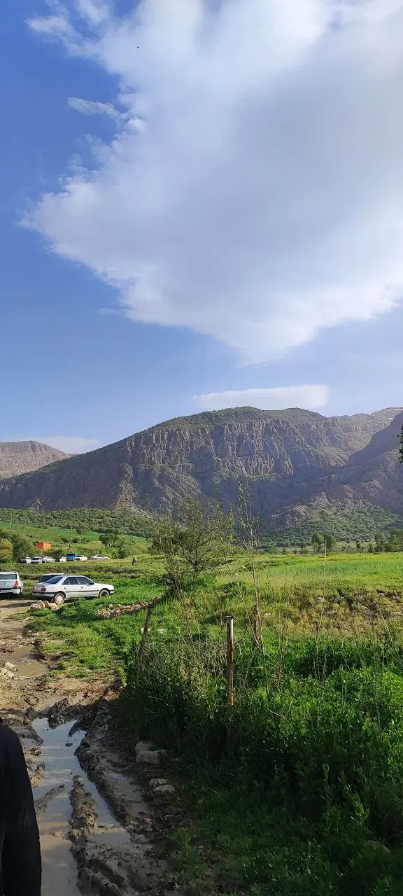 زمین ب مساحت ۲۰۰ متر ضرغام بفروش میرسد