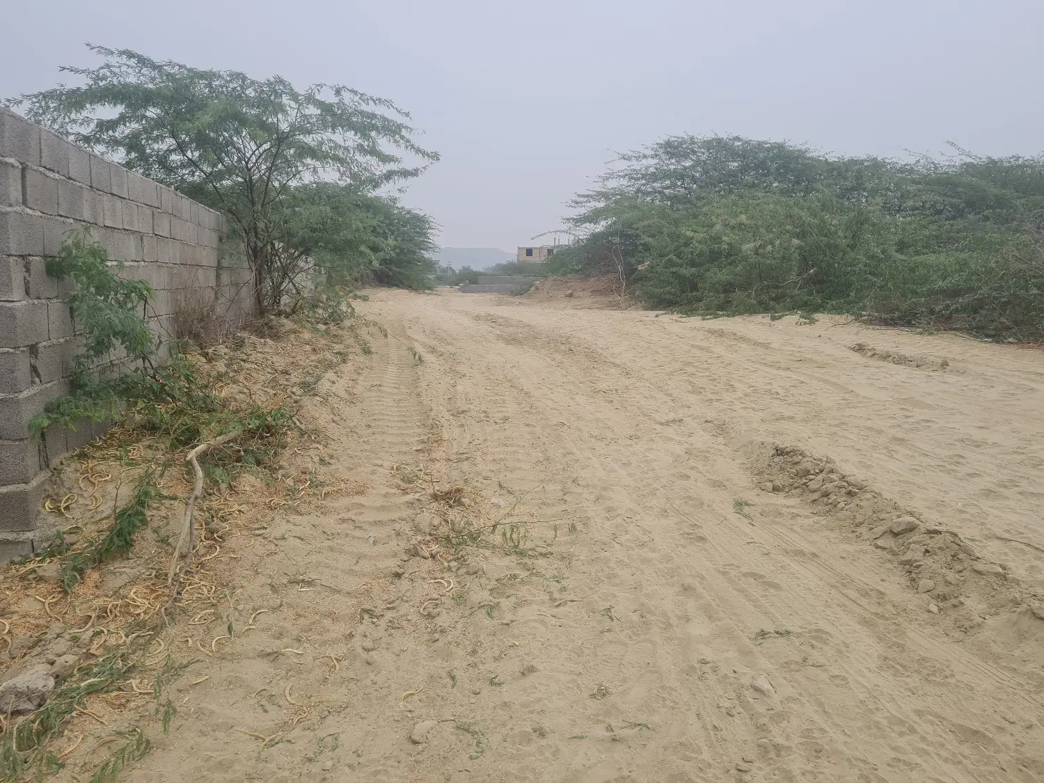 فروش زمین ۲۰۰ متری سند تک‌برگ در اول روستای تیس
