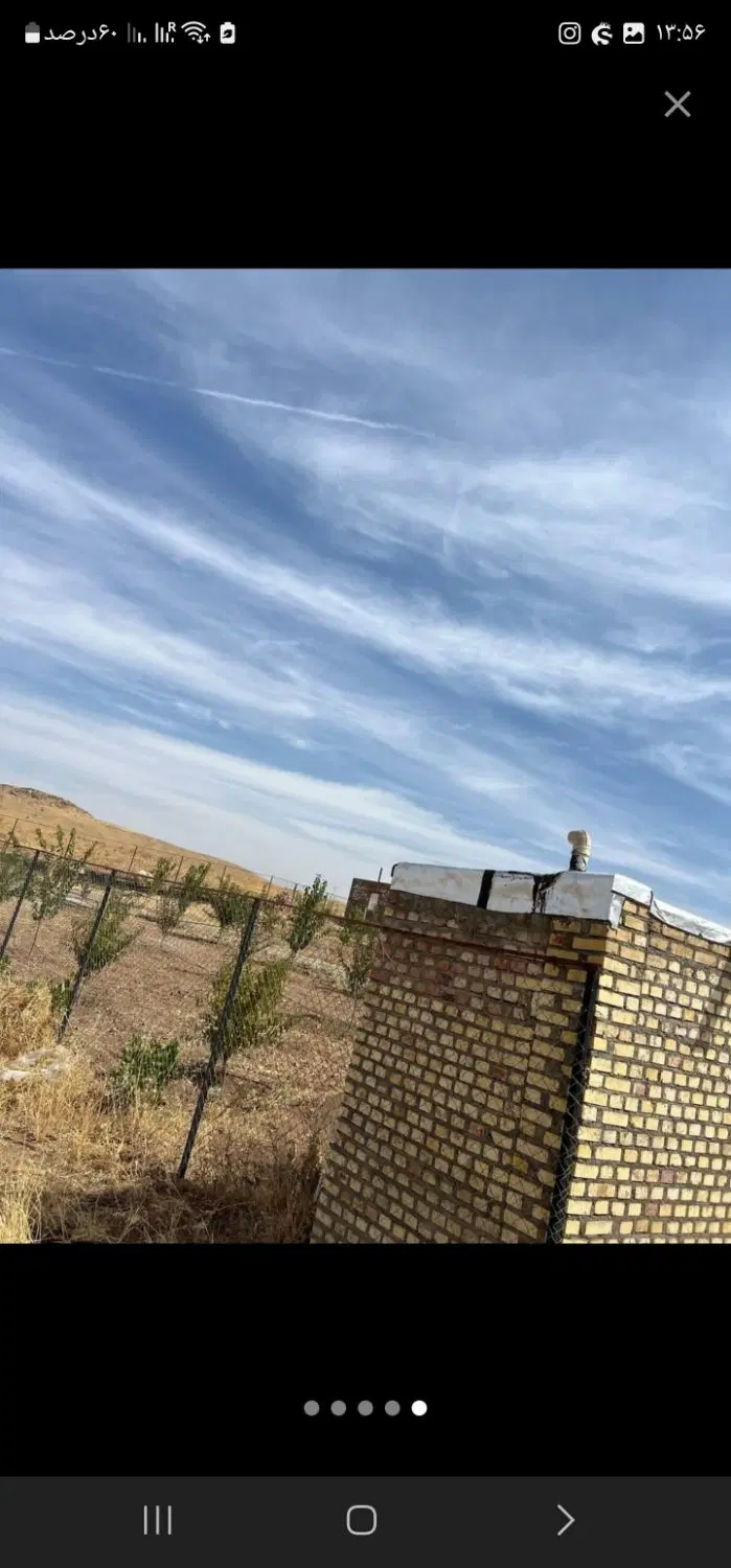 خانه باغ