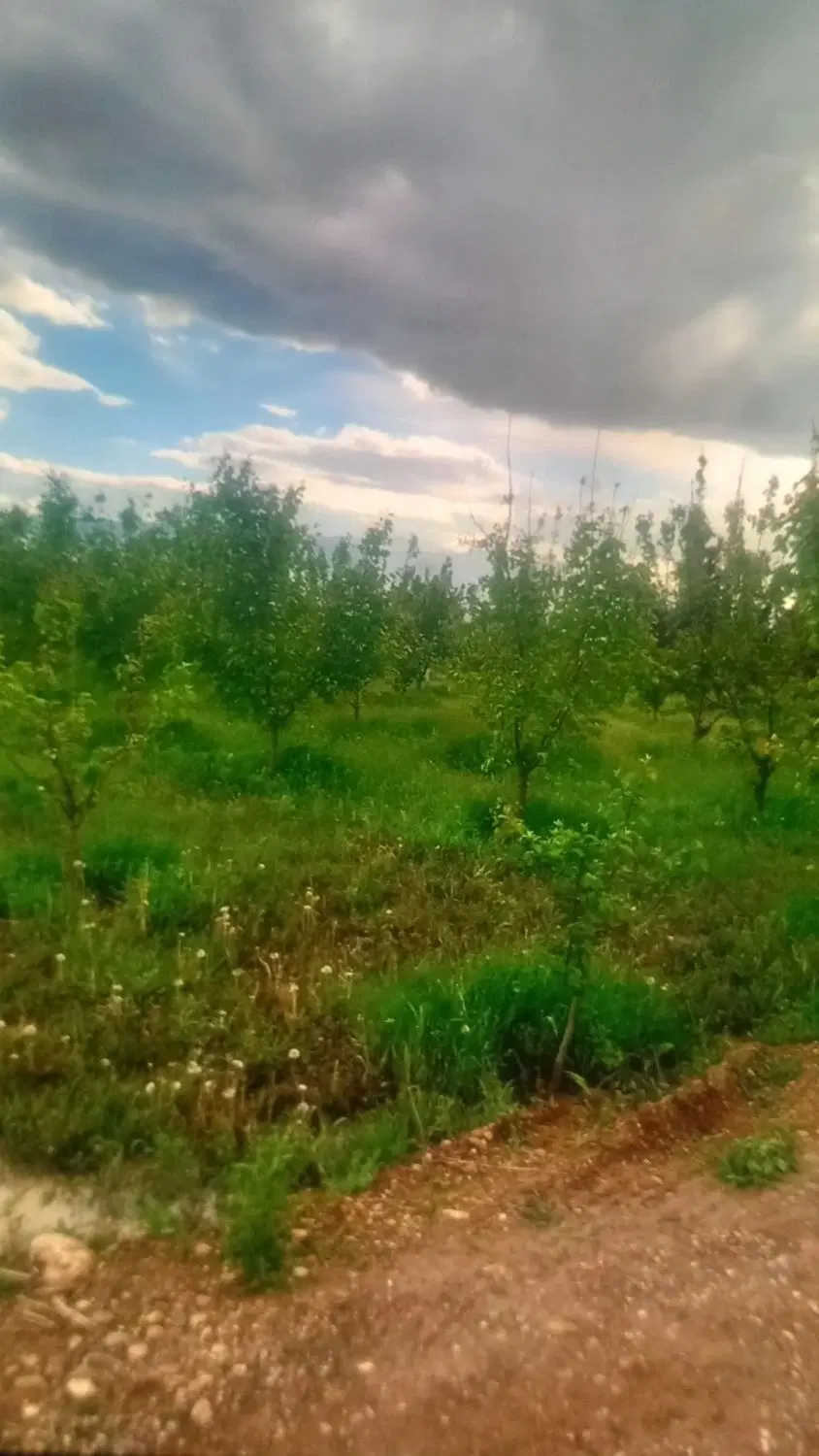 باغ در روستای تاریخی خوک