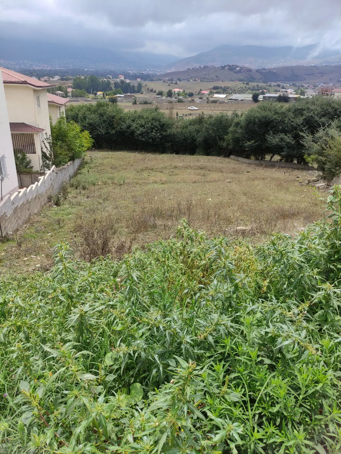 زمین پیشنبور  خ سر آبرود