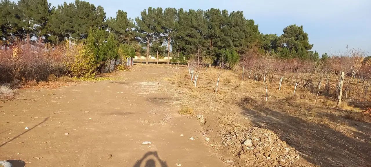 زمین باغی مرجان آباد
