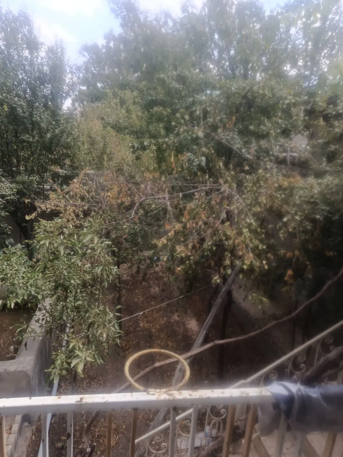 املاک محمدی روستای وشنوه خانه 200متری
